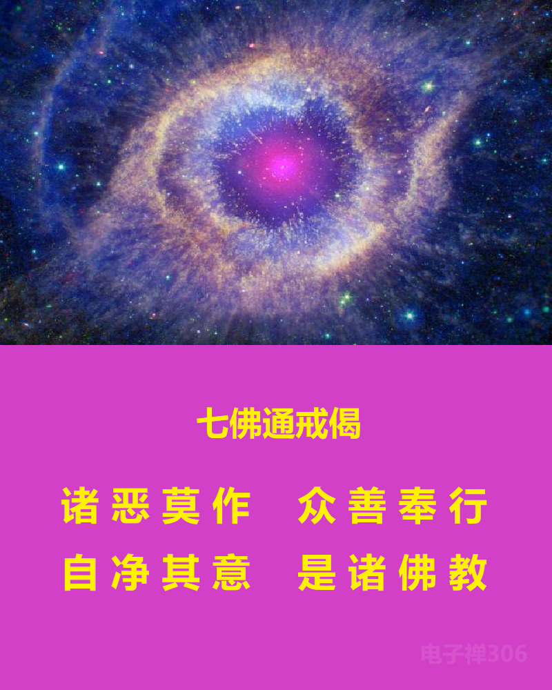 【电子禅特辑】