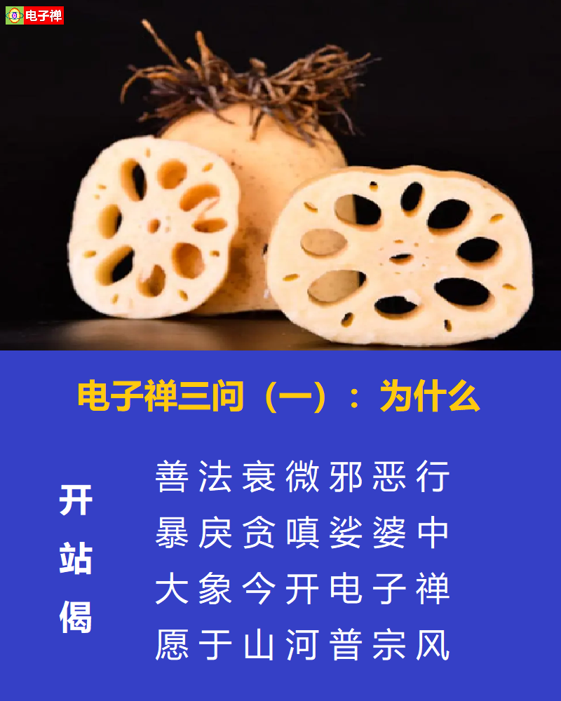 【电子禅特辑】