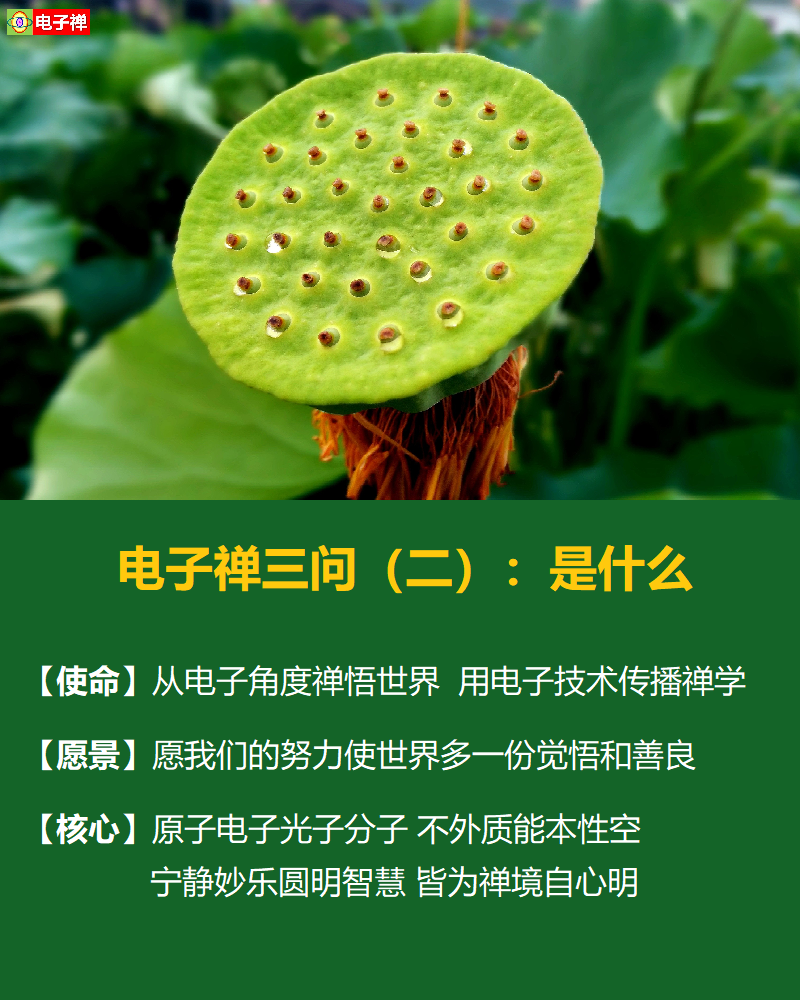 【电子禅特辑】