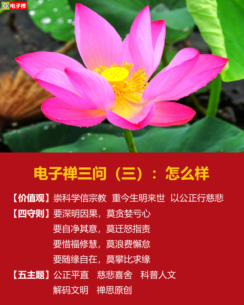 【电子禅特辑】